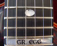 Fingerboard inlay