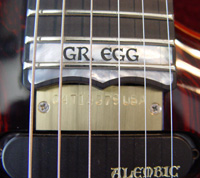 Fingerboard inlay