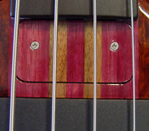 truss rod cover