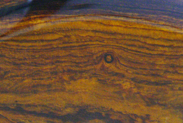 Coco Bolo detail