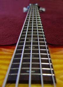 fingerboard