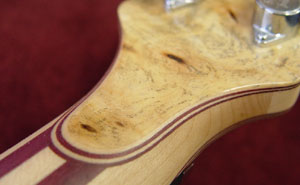detail