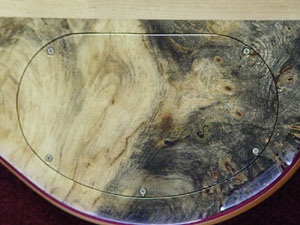 Backplate