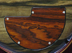 Coco Bolo Backplate