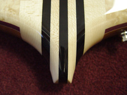 Tip of the Tail