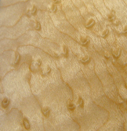 Birds-eye Maple