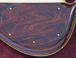 Coco Bolo Backplate