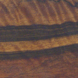 Macassar Ebony