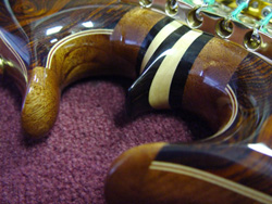 heart omega detail