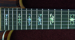 Fingerboard inlay