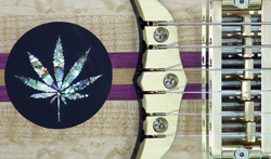Medallion inlay
