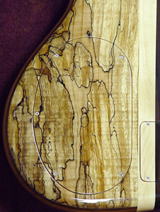 CW Backplate