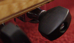 buttons