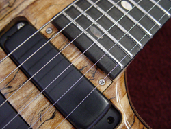 Truss rod cover