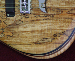 Spalted Wood