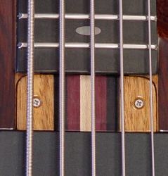 Truss rod cover