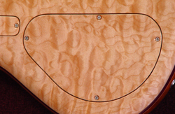 Continuous Wood Backplate