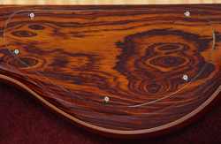 Continuous wood backplate