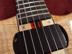 Truss rod cover