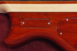 backplate