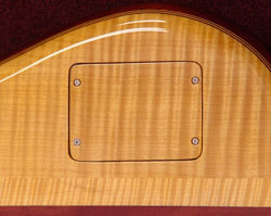 Continuouswood backplate