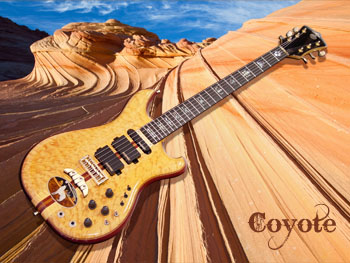 featured custom