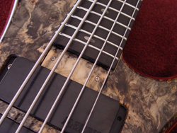 Truss rod cover