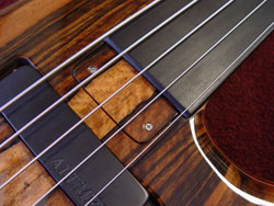 Truss Rod Cover