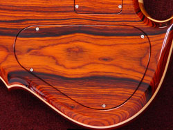 Continuouswood backplate
