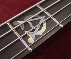 Fingerboard inlay