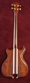 Back View
