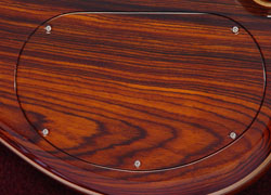 Backplate