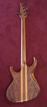 back view