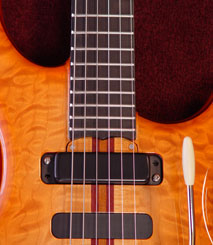 Truss Rod Cover