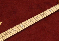 fingerboard