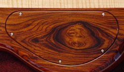 Backplate
