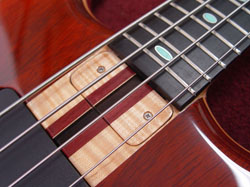 truss rod cover