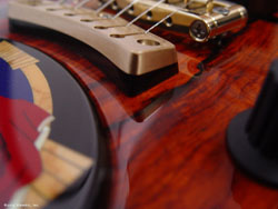 Tailpiece shim