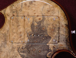 Backplates