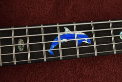 Orca Inlay