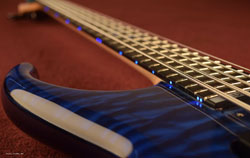 LEDs