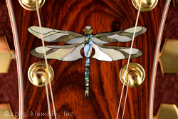 Dragonfly inlay