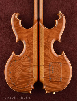 Back