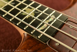 Maple Seed Inlay