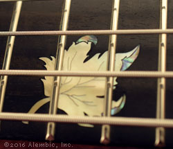 Falling Leaf