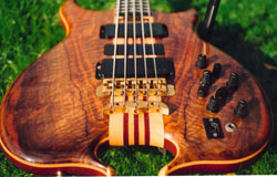 Tailpiece View