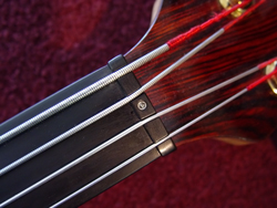 Ebony string nut
