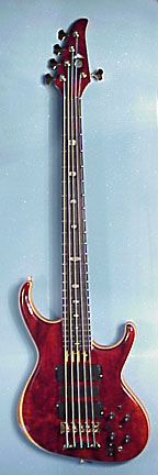 Ken's 5-string