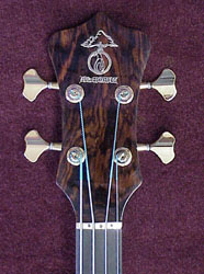 peghead front