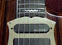 pickup ring top